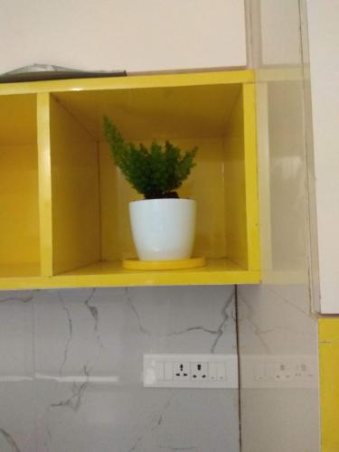 Kitchen shelf