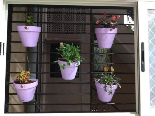 Kitchen window